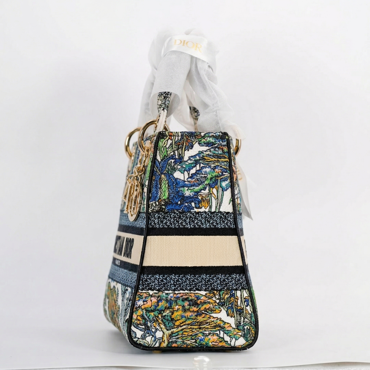 Dior Lady D-Lite Medium – Toile de Jouy Voyage Embroidery
